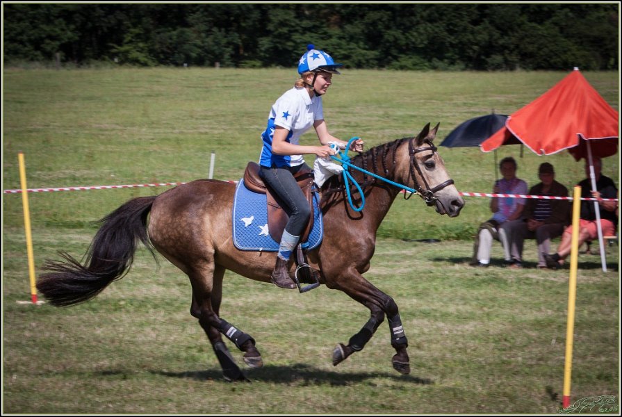 Mounted Games 279